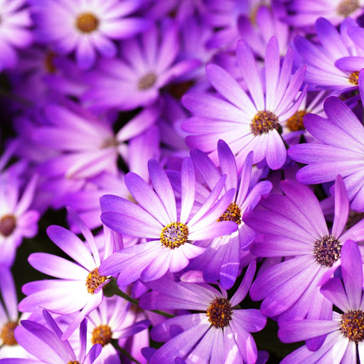 Hd-142216-ascw142216