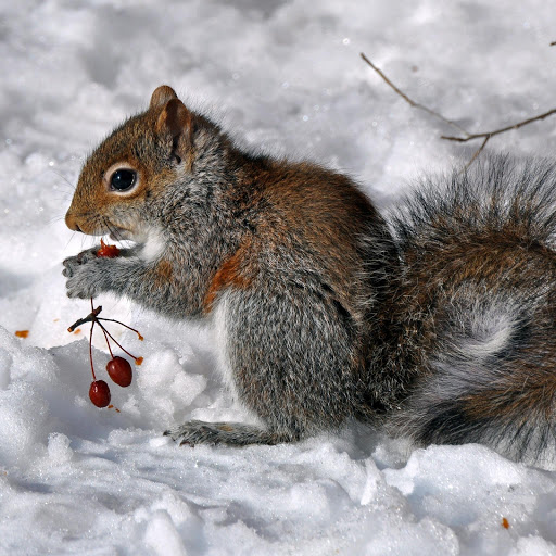 Hd-177927-ascw177927