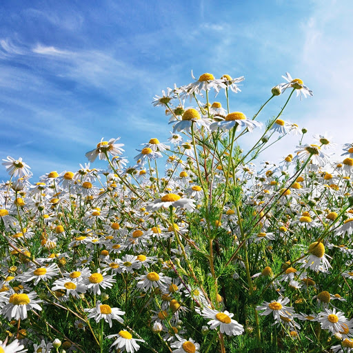 Hd-147506-ascw147506