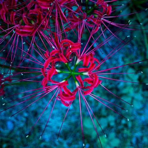 Hd-175171-ascw175171