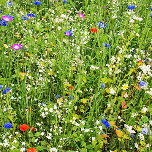 Hd-148713-ascw148713