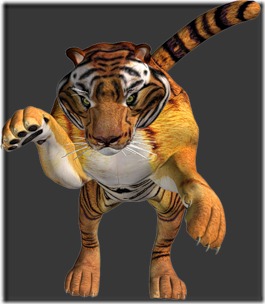 tigres (1)