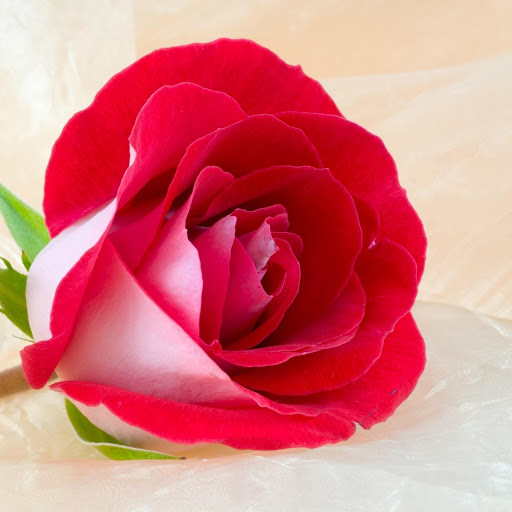 Hd-147656-ascw147656