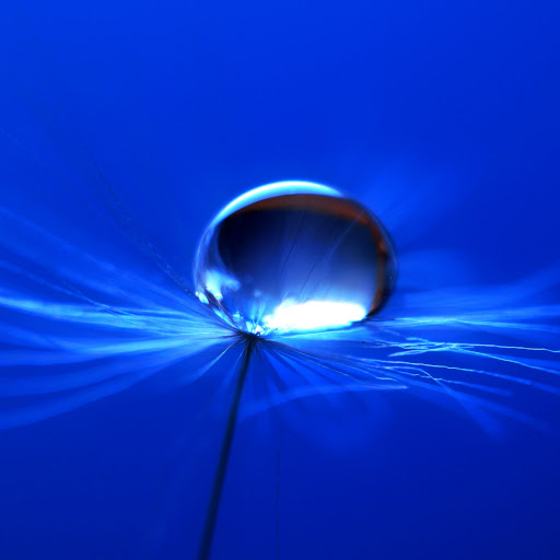 Hd-160186-ascw160186