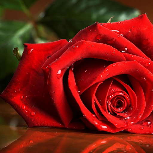 Hd-167487-ascw167487