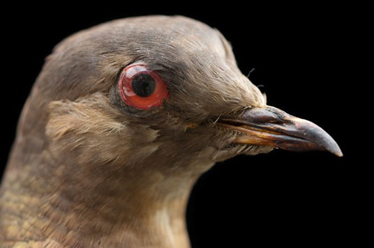 [clip_image029%255B3%255D.jpg]