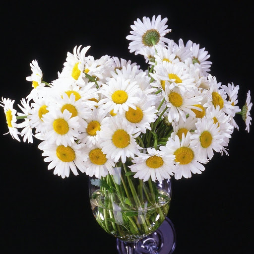 Hd-143585-ascw143585