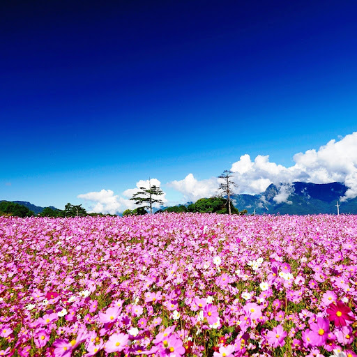 Hd-145893-ascw145893