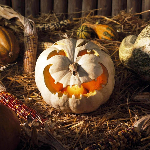 Hd-151984-ascw151984