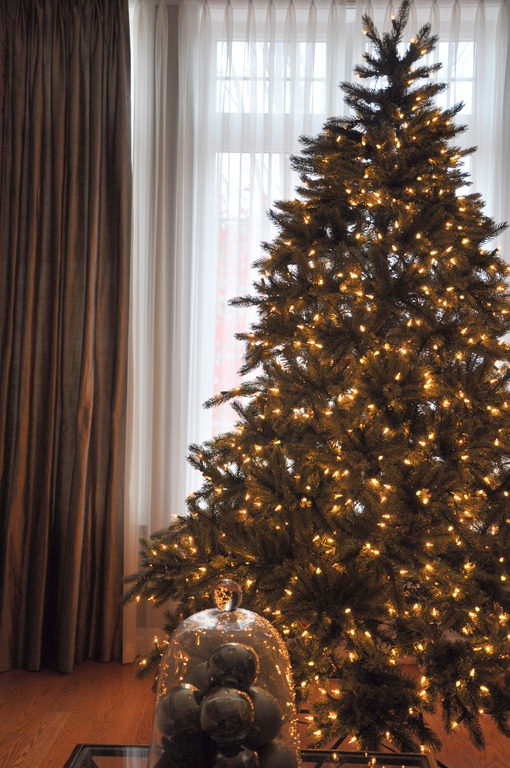 [tree%255B6%255D.jpg]