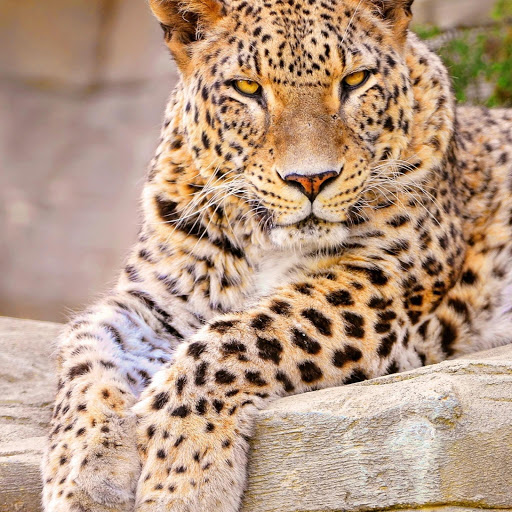 Hd-180461-ascw180461