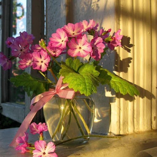 Hd-154740-ascw154740