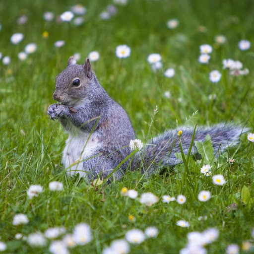 Hd-147998-ascw147998