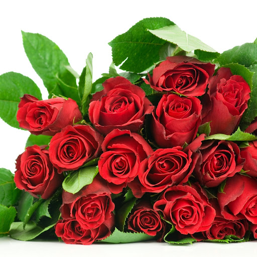 Hd-165798-ascw165798