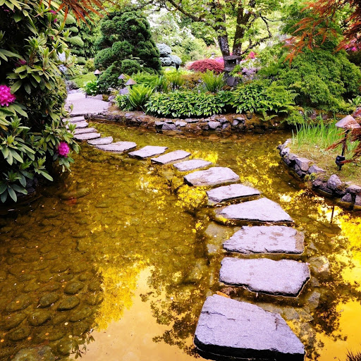 Hd-146340-ascw146340