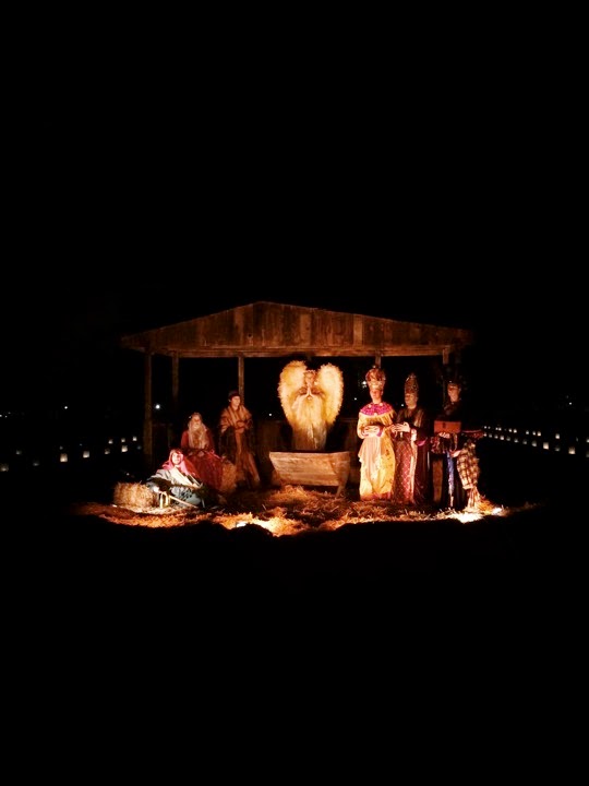 Nativity scene 2014