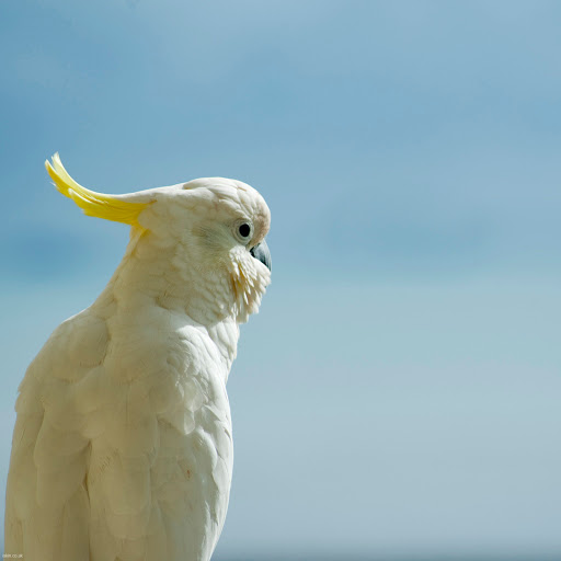 Hd-167578-ascw167578