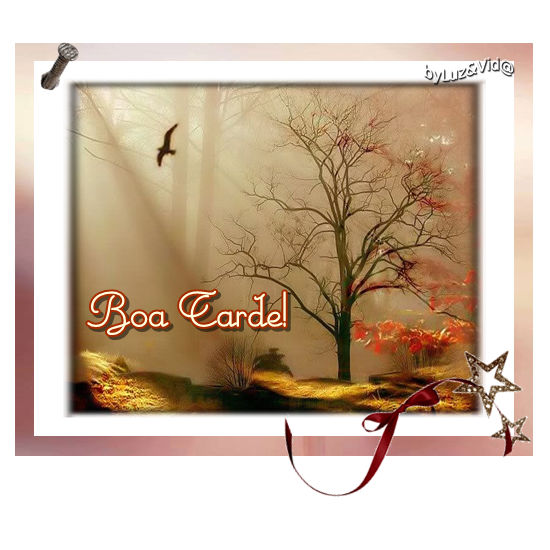 boatarde17%2528MB%2529maryluz.png