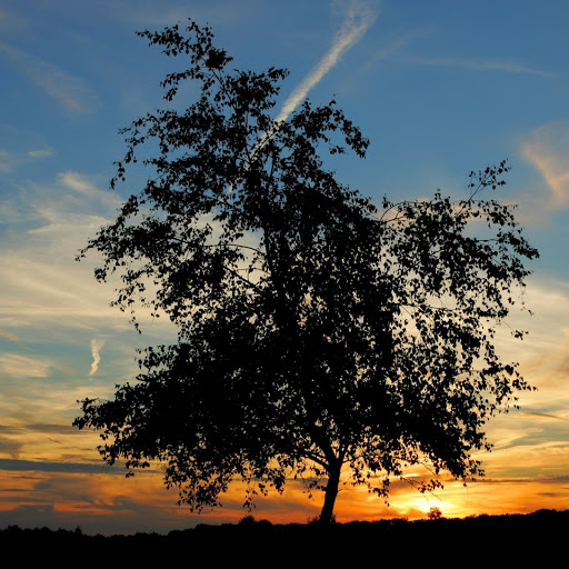 Hd-131257-ascw131257