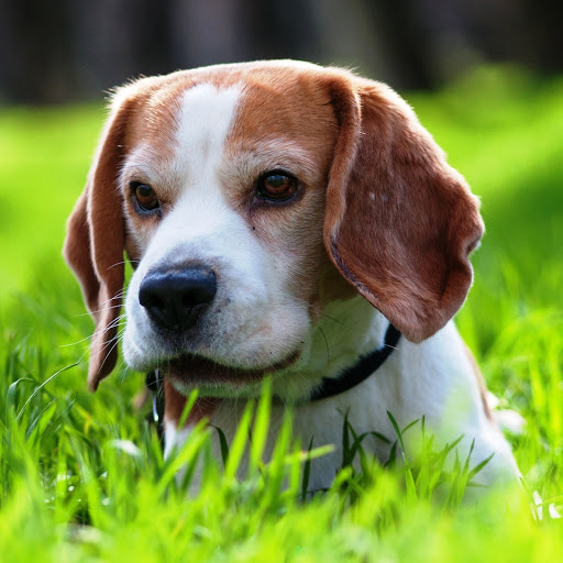 Hd-142656-ascw142656