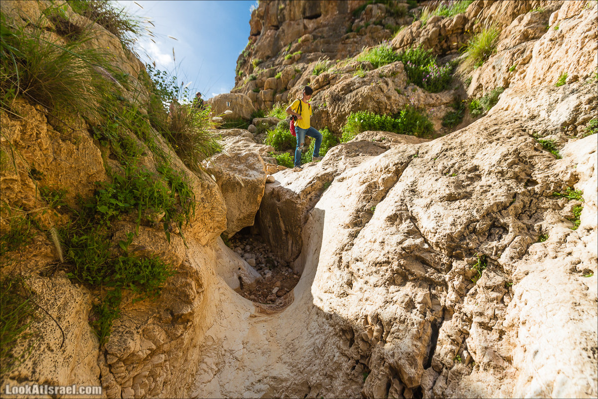 LookAtIsrael.com - Ручей (нахаль) Талкид | Nahal Talkid | נחל תלקיד