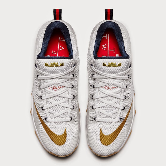 silver lebron 12