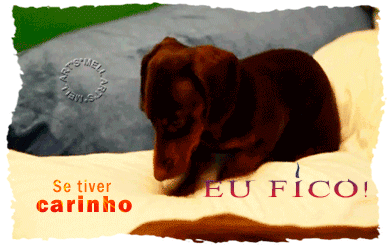 absynto.gif