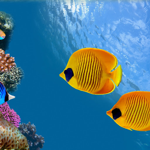 Hd-154372-ascw154372