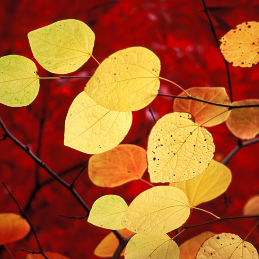 Hd-134964-ascw134964