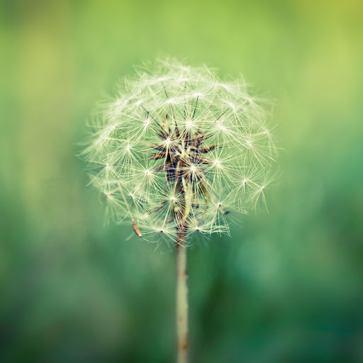 Hd-178855-ascw178855