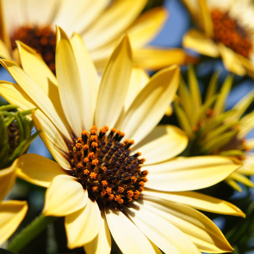 Hd-168182-ascw168182