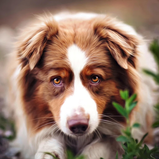 Hd-147585-ascw147585