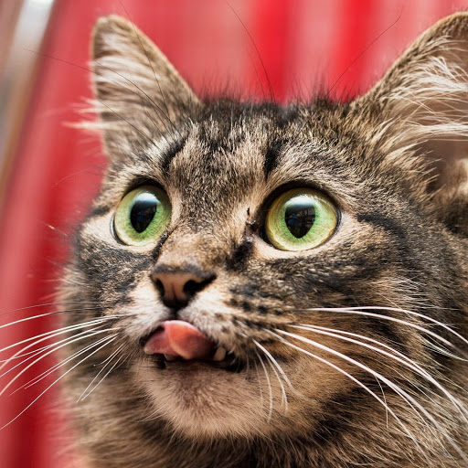 Hd-138859-ascw138859