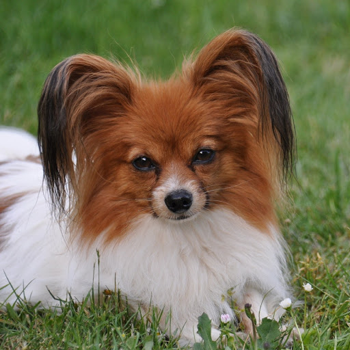 Hd-181829-ascw181829