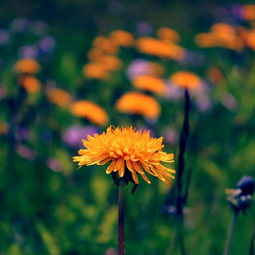 Hd-190854-ascw190854