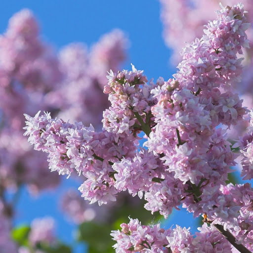 Hd-171697-ascw171697