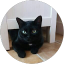 Image Google de C6l Filou