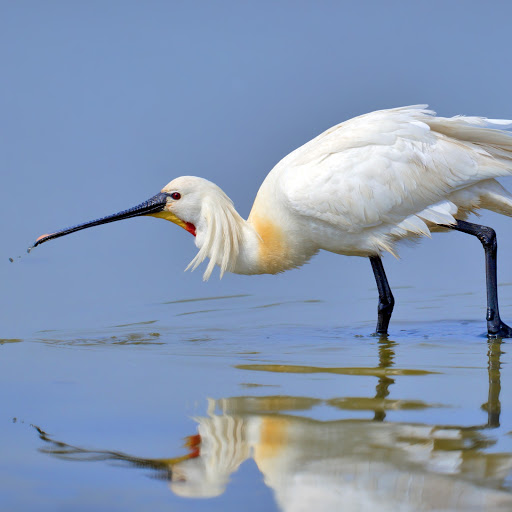 Hd-161018-ascw161018