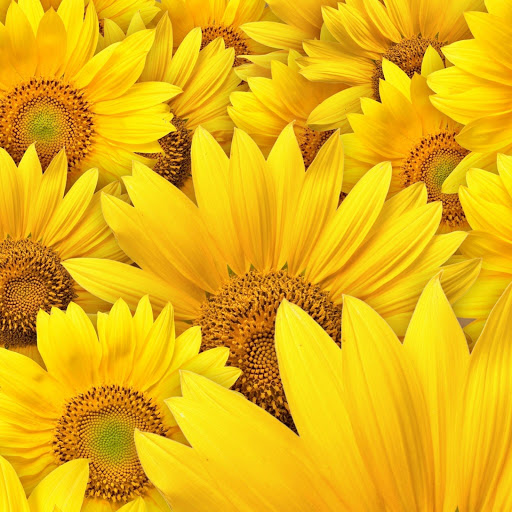 Hd-149245-ascw149245