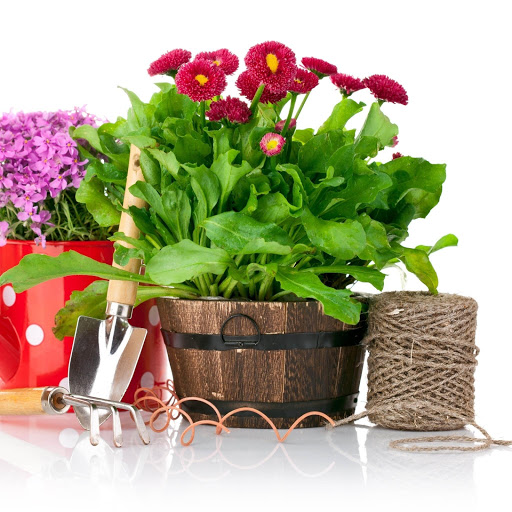 Hd-160611-ascw160611