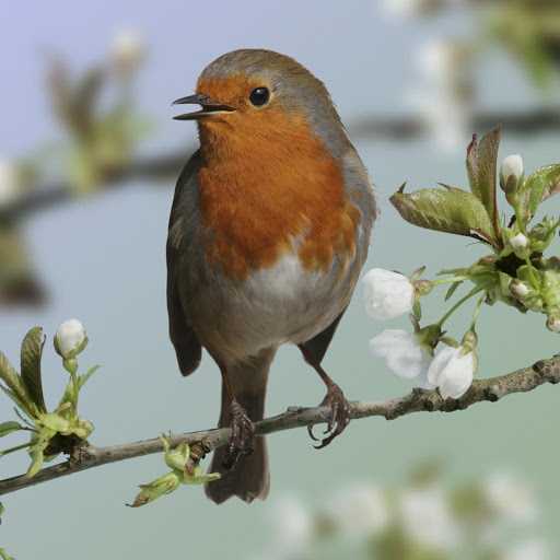 Hd-144259-ascw144259