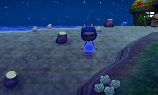 animal crossing new leaf beetle catch guide 01