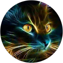 Image Google de Nicolas Rocque