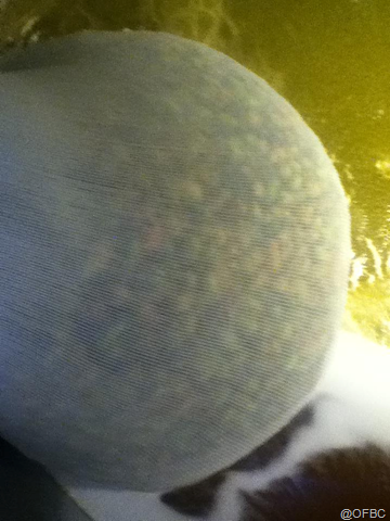 [image%255B5%255D.png]