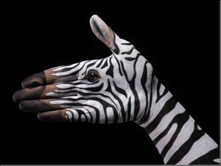 Zebra-on-black1-453x340