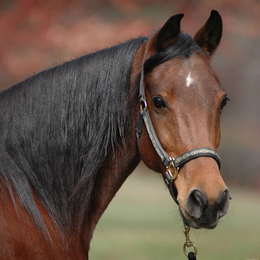 Hd-180725-ascw180725