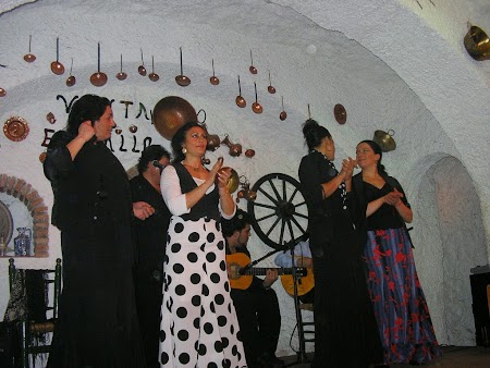 04. Flamenco andaluz.JPG
