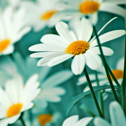 Hd-146348-ascw146348