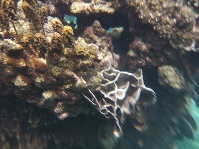 P1050334.JPG
