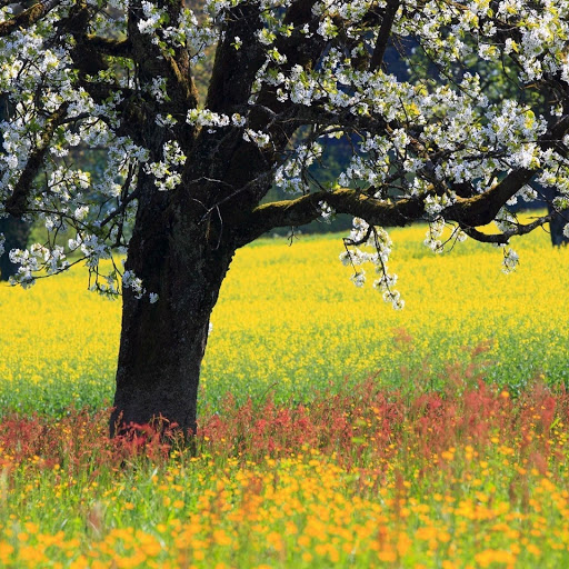 Hd-143032-ascw143032